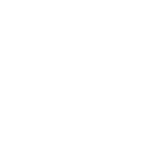 Zen MD Store